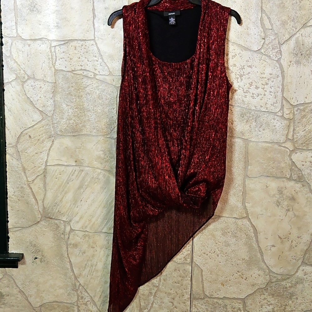 Red Shimmer Blouse nwot